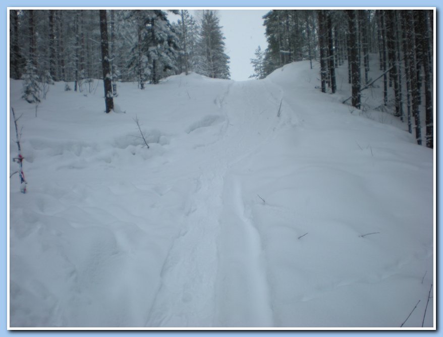 helmikuu2011 011